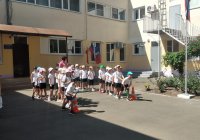img (3)